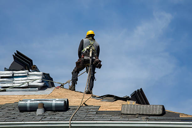 Professional Flat Roof Repair technician working in Lakewood, CO